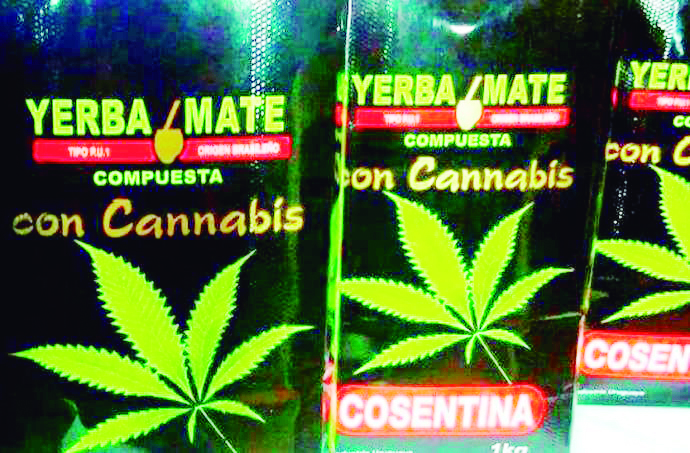 Resultado da erva mate com cannabis no pai, segundo ele era o único mate  disponível : r/brasil