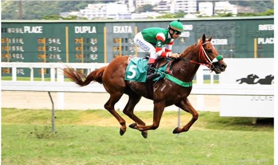 Um cavalo pulando uma cerca em um prado