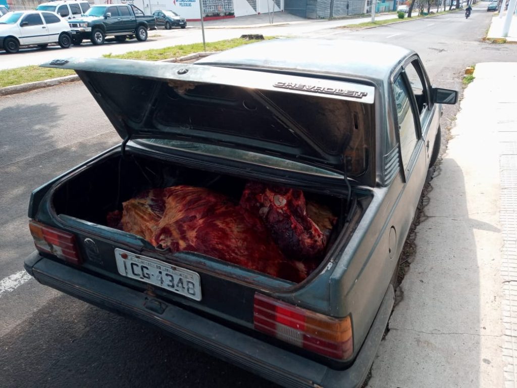 Três pessoas são presas por matar cavalo para comer em SC