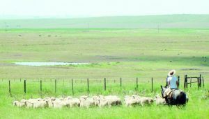 (Foto: Matias Moura/AP )