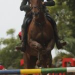 Temporada Hípica do 7º acontece em agosto Na última quinta-feira (9), aconteceu no 7º Regimento de Cavalaria Mecanizado (7º RC Mec), a 1ª reunião de coordenação para organização da Temporada Hípica organizada pelo regimento. A competição está prevista para ocorrer no período de 18 a 21 de agosto deste ano e contará com a participação estimada de mais de 100 conjuntos dos municípios da região e do norte do Uruguai. De acordo com o Subcomandante do 7º RC Mec, tenente coronel Jeandré Peralta Umpierre, a reunião contou com a participação de empresários e imprensa de Sant’Ana do Livramento.