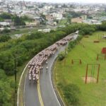 1ª visita de inspeção do comandante da 3ª brigada de cavalaria mecanizada Nos dias 21 e 22 de setembro de 2022, o 7º Regimento de Cavalaria Mecanizado (7º RC Mec), Regimento Brigadeiro Vasco Alves Pereira, recebeu a visita do Senhor General de Brigada Marco Aurélio Baldassarri, Comandante da 3ª Brigada de Cavalaria Mecanizada (3ª Bda C Mec), Brigada Patrício Correa da Câmara e comitiva. A visita iniciou com a Escolta Mecanizada que conduziu o Senhor General de Brigada Baldassarri até o Posto Médico da Guarnição de Santana do Livramento, o qual foi recepcionado pela Guarda de Honra e, logo após, houve uma visitação às instalações daquele local. Na sequência, ocorreu uma Seção de Treinamento Físico Militar centralizada no 7º RC Mec e uma corrida pelas ruas do município, a fim de promover a integração com a tropa da guarnição federal de Santana do Livramento. Na manhã do dia seguinte, ocorreu uma formatura geral no pátio de formatura Tenente Coronel José Ricardo de Abreu Salgado. Logo após, houve a apresentação dos oficiais do Regimento e uma reunião no auditório, onde o Comandante da 3ª Bda C Mec explanou aos Oficiais, Subtenentes e Sargentos do Regimento sobre assuntos diversos de interesse da Força e incentivo as atividades sociais da família militar. Em seguida, o Senhor Tenente Coronel Rafael Polinício Lanza Braga, Comandante do 7º RC Mec, explanou ao Comandante da 3ª Bda C Mec sobre a situação operacional, social e administrativa do Regimento, enfatizando os projetos confeccionados com objetivos de proporcionar melhorias as instalações da Unidade, alinhados com a intenção do escalão superior e os Projetos Estratégicos do Exército. Santana do Livramento – RS, 22 de setembro de 2022. RAFAEL POLINÍCIO LANZA BRAGA – Ten Cel