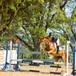 Concurso De Salto Fronteira Da Paz No período de 14 a 16 de outubro de 2022, foi realizada, no Centro Hípico do 7º Regimento de Cavalaria Mecanizado (7º RC Mec), a Temporada Hípica do Regimento e o Concurso de Salto Fronteira da Paz 2022, com objetivo de promover o estreitamento dos laços de amizade com entidades civis e militares do Brasil e Uruguai, bem como, cultuar as tradições hípicas. O evento contou com a participação de Equipes Hípicas do Estado do Rio Grande do Sul e República Oriental do Uruguai (ROU), abrangendo um total de 102 conjuntos participantes, além de proporcionar àqueles que prestigiaram a atividade, um espaço kids para as crianças, praça de alimentação e exposição de materiais das entidades patrocinadoras. Na competição, a Equipe de Hipismo do 7º Regimento de Cavalaria Mecanizado (7º RC Mec) sagrou-se campeã na modalidade por equipe na Taça Patrício Corrêa da Câmara, competição essa conduzida pela 3ª Brigada de Cavalaria Mecanizada. O Senhor Tenente Coronel Rafael Polinício Lanza Braga, Comandante do 7º RC Mec, parabeniza os competidores pela participação e sucesso alcançado na referida competição e agradece as entidades patrocinadoras e a todos que, com suas presenças, abrilhantaram de forma significativa, a Temporada Hípica desta tradicional Unidade de Cavalaria do Exército Brasileiro. Santana do Livramento – RS, 17 de outubro de 2022. RAFAEL POLINÍCIO LANZA BRAGA – Ten Cel