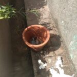 Cemitério estará fechado nesta quinta para pulverização em combate ao Aedes Aegypti A partir das 15h desta quinta-feira (3), a Vigilância Ambiental estará no Cemitério Público Municipal realizando a pulverização e limpeza dos pontos em que pode haver acumulo de água. De acordo com Felipe Moraes, coordenadora da Vigilância Ambiental, por se tratar de um veneno químico e tem seu poder residual, é fundamental que as pessoas não adentrem o cemitério por pelo menos 24h. “Hoje novamente vamos ao cemitério para fazer uma nova varredura. Mesma coisa que fizemos no dia 31, para eliminar focos e alguma coisa que o pessoal deixado do dia de ontem, nos vasos, nas flores, em potes. A tarde, a partir das 15h nós vamos aplicar veneno. O pessoal que deixar pra ir hoje de tarde, se puder não ir, porque o veneno é químico e tem seu poder residual, então é melhor evitar”, explicou Felipe.