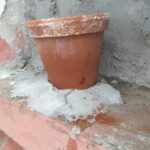 Cemitério estará fechado nesta quinta para pulverização em combate ao Aedes Aegypti A partir das 15h desta quinta-feira (3), a Vigilância Ambiental estará no Cemitério Público Municipal realizando a pulverização e limpeza dos pontos em que pode haver acumulo de água. De acordo com Felipe Moraes, coordenadora da Vigilância Ambiental, por se tratar de um veneno químico e tem seu poder residual, é fundamental que as pessoas não adentrem o cemitério por pelo menos 24h. “Hoje novamente vamos ao cemitério para fazer uma nova varredura. Mesma coisa que fizemos no dia 31, para eliminar focos e alguma coisa que o pessoal deixado do dia de ontem, nos vasos, nas flores, em potes. A tarde, a partir das 15h nós vamos aplicar veneno. O pessoal que deixar pra ir hoje de tarde, se puder não ir, porque o veneno é químico e tem seu poder residual, então é melhor evitar”, explicou Felipe.