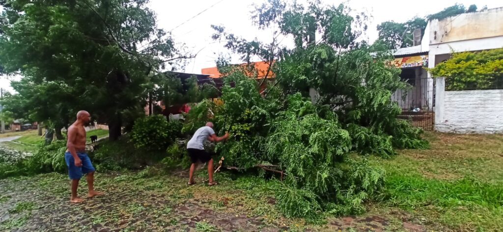 Ao menos 15 casas ficaram destelhadas pós temporal, estima Defesa Civil de Livramento Em balanço feito pela Defesa Civil de Sant’Ana do Livramento na manhã desta segunda-feira (26), estima que mais de 30 casas solicitaram atendimento da órgão após temporal que durou pouco mais de 10 minutos. De acordo com Ademir Pacheco, coordenador da DF no município, minutos após do fim da chuva as ações de socorro já iniciaram em algumas residências no Parque do Sol e também na vila Argiles. “Tivemos alguns atendimentos em torno de 30 residências, mas 15 tiveram o telhado todo arrancado, dando um prejuízo somente material. Conseguimos chegar junto para alcançar uma lona. Tivemos sorte por não chover mais após o temporal”, destacou. O trabalho foi realizado em parceria com a Secretaria Municipal de Assistência e Inclusão Social, que montou um QG para distribuição das lonas, que também aconteceu ao longo domingo. As famílias que necessitarem de contato com a Defesa Civil podem acionar através do telefone (55) 98451-2504