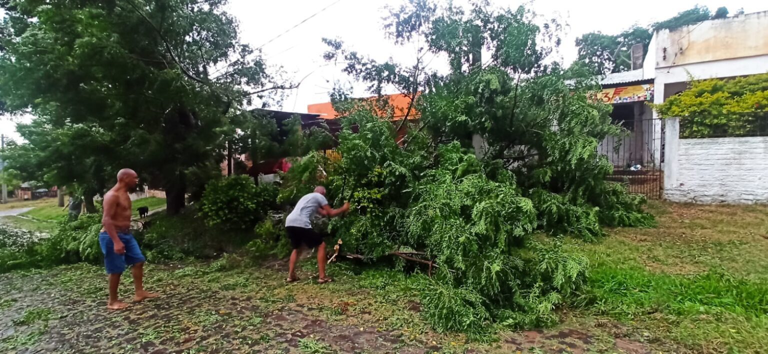 Ao menos 15 casas ficaram destelhadas pós temporal, estima Defesa Civil de Livramento Em balanço feito pela Defesa Civil de Sant’Ana do Livramento na manhã desta segunda-feira (26), estima que mais de 30 casas solicitaram atendimento da órgão após temporal que durou pouco mais de 10 minutos. De acordo com Ademir Pacheco, coordenador da DF no município, minutos após do fim da chuva as ações de socorro já iniciaram em algumas residências no Parque do Sol e também na vila Argiles. “Tivemos alguns atendimentos em torno de 30 residências, mas 15 tiveram o telhado todo arrancado, dando um prejuízo somente material. Conseguimos chegar junto para alcançar uma lona. Tivemos sorte por não chover mais após o temporal”, destacou. O trabalho foi realizado em parceria com a Secretaria Municipal de Assistência e Inclusão Social, que montou um QG para distribuição das lonas, que também aconteceu ao longo domingo. As famílias que necessitarem de contato com a Defesa Civil podem acionar através do telefone (55) 98451-2504