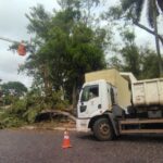 Força tarefa para limpeza dos estragos causados pelo temporal iniciou nesta manhã Na manhã desta segunda-feira (26), as secretarias municipais de Serviços Urbanos e de Obras realizaram a limpeza dos locais castigados pelo temporal que aconteceu na véspera de Natal. De acordo com o secretário de Obras, Dilmar Pereira, as secretarias deram apoio à Defesa Civil e ao Corpo de Bombeiros. “Nos juntamos nessa força tarefa em apoio a Defesa Civil e o Corpo de Bombeiros, com as secretarias e o Dae. As áreas já foram mapeadas e dessa forma pretendemos terminar entre hoje e amanhã, para deixarmos tudo em condições. Tivemos alguns casos da rua Aurélio Dargélio, na avenida João Goulart e na região da Hidráulica também, mas dessa forma estamos tentando atender todas as demandas”, declarou Dilmar. Os locais mais críticos foram na avenida Tamandaré, uma árvore se desprendeu do solo e caiu sobre dois veículos, além de atingir a fachada de um estabelecimento comercial. Há poucos metros dali, na av. João Goulart, outra árvore acabou derrubando um poste e rompendo a fiação, deixando boa parte da região central sem energia elétrica. Em outros locais, como na av. Francisco Reverbel de Araújo Goes e na BR-158, o trânsito precisou ser temporariamente interrompido. Árvores centenárias No que se refere a arvores centenárias do município, o secretário informou que cabe estudos e mapeamento desses locais junto ao Departamento do Meio Ambiento. “São árvores centenárias, caberia realmente ver o risco que elas poderão causar e o Dema nos notificar pedindo para fazer a poda junto com a secretaria de Serviços Urbanos”, explicou.