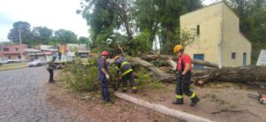 Força tarefa para limpeza dos estragos causados pelo temporal iniciou nesta manhã Na manhã desta segunda-feira (26), as secretarias municipais de Serviços Urbanos e de Obras realizaram a limpeza dos locais castigados pelo temporal que aconteceu na véspera de Natal. De acordo com o secretário de Obras, Dilmar Pereira, as secretarias deram apoio à Defesa Civil e ao Corpo de Bombeiros. “Nos juntamos nessa força tarefa em apoio a Defesa Civil e o Corpo de Bombeiros, com as secretarias e o Dae. As áreas já foram mapeadas e dessa forma pretendemos terminar entre hoje e amanhã, para deixarmos tudo em condições. Tivemos alguns casos da rua Aurélio Dargélio, na avenida João Goulart e na região da Hidráulica também, mas dessa forma estamos tentando atender todas as demandas”, declarou Dilmar. Os locais mais críticos foram na avenida Tamandaré, uma árvore se desprendeu do solo e caiu sobre dois veículos, além de atingir a fachada de um estabelecimento comercial. Há poucos metros dali, na av. João Goulart, outra árvore acabou derrubando um poste e rompendo a fiação, deixando boa parte da região central sem energia elétrica. Em outros locais, como na av. Francisco Reverbel de Araújo Goes e na BR-158, o trânsito precisou ser temporariamente interrompido. Árvores centenárias No que se refere a arvores centenárias do município, o secretário informou que cabe estudos e mapeamento desses locais junto ao Departamento do Meio Ambiento. “São árvores centenárias, caberia realmente ver o risco que elas poderão causar e o Dema nos notificar pedindo para fazer a poda junto com a secretaria de Serviços Urbanos”, explicou.