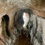 Toca do Tigre: Almadén organizará expedições até a paleontoca Descoberta em novembro de 2022, o buraco no meio das rochas, popularmente chamada de ‘Toca do Tigre’, vem sendo objeto de estudos e descobertas paleontológicas. Preocupados com a preservação do local, a Almadén buscou uma consultoria geológica, que confirmou ser um abrigo subterrâneo escavado por animais pré-históricos extintos. O geólogo Serlecio Guilherme Pinz, após estudo paleontológico e geoestratigráfico, identificou vestígios de prováveis marcas na parede feitas por animais que viveram entre o Pampa Gaúcho e a Patagônia, como a preguiça-gigante (Lestodon ou Glossotherium) e o tatu-gigante (Pampatherium), que pesavam centenas de quilos. Localizada há sete quilômetros da sede da vinícola, a paleontoca será parada obrigatória no Roteiro Expedição Lendária que a Almadén lançará em breve. De acordo com o diretor superintendente da MWG, Adriano Miolo, a visita até a Toca vem sendo estruturada pensando na continuidade da preservação do local. “Tudo está sendo cuidadosamente estruturado para que a preservação do local seja assegurada. Serão 5 horas de um safari pelo mundo do vinho e pela história da civilização do local, contemplando todos pontos do Complexo Enoturístico Almadén. Assim, a Almadén passa a compor um trio de experiências, premiando o turista, ávido por novas descobertas”, explicou Adriano, salientando que toda experiência estará alinhada à política de preservação do ambiente natural e sua história. “A paleontologia é um mundo novo para nós. Somos conhecedores da cultura do vinho e sempre harmonizamos as histórias e características de cada ambiente com as experiências que oferecemos. É com o enoturismo que aportamos nosso respeito e valorização a cada terroir. Desta forma, levamos o nosso público a conhecer este universo tão particular, único em cada lugar onde operamos”, destaca. “Respeitamos a natureza em sua integralidade. Nada faremos que esteja fora dos padrões e políticas de respeito e preservação. A nossa ‘Toca do Tigre’ está em nossa propriedade, mas é um patrimônio da comunidade. Nosso compromisso é garantir sua preservação, mas também oportunizar aos nossos visitantes o acesso ao local, para que possam ver as marcas dos animais pré-históricos, a formação geológica e a própria história”, reforça. A entrada da toca possui 2,60 metros de altura, que diminui ao longo de sua profundidade, por 1,40 metro de largura, com uma extensão de 33 metros. A paleontoca ainda deve ser registrada no Centro Nacional de Pesquisa e Conservação de Cavernas do Instituto Chico Mendes de Conservação da Biodiversidade (ICMBio/Cecav). Apesar de não ser visitada, a ‘Toca do Tigre’ deu nome ao vinhedo onde são cultivadas as uvas que dão origem ao Miolo Single Vineyard Riesling Johannisberg, um dos rótulos que compõem a Linha Miolo Single Vineyard - vinhos que nascem da terra e brotam de vinhedos únicos. História da Almadén A Vinícola Almadén nasceu na Califórnia, nos Estados Unidos, em 1852, mas suas raízes no Brasil estão cada vez mais profundas. São 50 anos em solo brasileiro, desde sua fundação em 1973, sendo 14 deles como uma das unidades da Miolo Wine Group, que aposta no terroir da Campanha Central. Nessa última década, a marca passou por uma grande transformação, reformulando produtos e modernizando embalagens. Dos 1.200 hectares da propriedade, 450 têm vinhedos próprios em espaldeira. São 25 castas, de onde surgem 13 vinhos (sete tintos, cinco brancos e um rosé). Também são de lá o Single Vineyard Cabernet Franc e o Single Vineyard Riesling Johannisberg, ambos com IP Campanha Gaúcha, e o Miolo Vinhas Velhas Tannat, ícone da unidade. Pioneira na tecnologia de aço inox e controle de temperatura na fermentação, com uma capacidade total de estocagem de 8,5 milhões de litros, a Almadén tem mapeado todos os seus vinhedos. São 138 parcelas, das quais 111 estão em produção. A vinícola foi a primeira da América Latina a introduzir a prensagem pneumática contínua. Este pioneirismo foi seguido pela Miolo Wine Group ao implantar a primeira colheita mecânica no Brasil em 2011. Com 100 dias de sol no Verão, a região já era considerada uma das melhores do mundo para a vitivinicultura ainda em 1973, quando a Almadén investiu no local, sendo a primeira vinícola a se instalar em Santana do Livramento. Com o mesmo entendimento e acreditando no potencial do terroir, a Miolo não apenas deu continuidade como também apostou no projeto que veio completar o grupo, unindo-se às unidades do Vale dos Vinhedos (Miolo), de Candiota (Seival) e do Vale do São Francisco (Terranova). De 2009 para cá, grandes investimentos foram feitos na renovação e manejo dos vinhedos. Anualmente, durante a safra de pouco mais de dois meses, são produzidos aproximadamente 6 milhões de quilos de uvas, uma operação que envolve mais de 400 pessoas. Além de variedades mais conhecidas como as tintas Cabernet Sauvignon e Merlot e as brancas Chardonnay e Sauvignon Blanc, a Almadén mantém um amplo trabalho de pesquisa com o terroir que tem permitido cultivar 25 diferentes castas, apostando em uvas menos conhecidas como as tintas Alicante Bouschet, Marselan e Tempranillo e as brancas Sémillon e French Colombard, por exemplo. A trajetória da Vinícola Almadén no Brasil, em Santana do Livramento, está intimamente ligada a história da vitivinicultura brasileira. Há 50 anos em solo brasileiro, a marca é pioneira no uso da tecnologia de aço inox e controle de temperatura na fermentação com 100% de seus vinhedos mapeados, sendo a primeira vinícola do país a introduzir a prensagem pneumática contínua e a colheita mecânica. Toda essa expertise, conduzida pela Miolo Wine Group (MWG) desde 2009, é rotina para o time da vinícola, instalada numa região de muitas lendas e forte cultura gaúcha. A propriedade de 1.200 hectares, onde 450 são destinados ao cultivo de vinhedos e o restante de área de preservação (mata nativa intocada), acaba de ganhar uma nova atração, uma paleontoca pré-histórica. A misteriosa caverna descoberta pela Almadén em novembro de 2022 mostra como era a vida na pré-história no território brasileiro, mais especificamente no Pampa Gaúcho.
