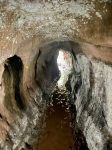 Toca do Tigre: Almadén organizará expedições até a paleontoca Descoberta em novembro de 2022, o buraco no meio das rochas, popularmente chamada de ‘Toca do Tigre’, vem sendo objeto de estudos e descobertas paleontológicas. Preocupados com a preservação do local, a Almadén buscou uma consultoria geológica, que confirmou ser um abrigo subterrâneo escavado por animais pré-históricos extintos. O geólogo Serlecio Guilherme Pinz, após estudo paleontológico e geoestratigráfico, identificou vestígios de prováveis marcas na parede feitas por animais que viveram entre o Pampa Gaúcho e a Patagônia, como a preguiça-gigante (Lestodon ou Glossotherium) e o tatu-gigante (Pampatherium), que pesavam centenas de quilos. Localizada há sete quilômetros da sede da vinícola, a paleontoca será parada obrigatória no Roteiro Expedição Lendária que a Almadén lançará em breve. De acordo com o diretor superintendente da MWG, Adriano Miolo, a visita até a Toca vem sendo estruturada pensando na continuidade da preservação do local. “Tudo está sendo cuidadosamente estruturado para que a preservação do local seja assegurada. Serão 5 horas de um safari pelo mundo do vinho e pela história da civilização do local, contemplando todos pontos do Complexo Enoturístico Almadén. Assim, a Almadén passa a compor um trio de experiências, premiando o turista, ávido por novas descobertas”, explicou Adriano, salientando que toda experiência estará alinhada à política de preservação do ambiente natural e sua história. “A paleontologia é um mundo novo para nós. Somos conhecedores da cultura do vinho e sempre harmonizamos as histórias e características de cada ambiente com as experiências que oferecemos. É com o enoturismo que aportamos nosso respeito e valorização a cada terroir. Desta forma, levamos o nosso público a conhecer este universo tão particular, único em cada lugar onde operamos”, destaca. “Respeitamos a natureza em sua integralidade. Nada faremos que esteja fora dos padrões e políticas de respeito e preservação. A nossa ‘Toca do Tigre’ está em nossa propriedade, mas é um patrimônio da comunidade. Nosso compromisso é garantir sua preservação, mas também oportunizar aos nossos visitantes o acesso ao local, para que possam ver as marcas dos animais pré-históricos, a formação geológica e a própria história”, reforça. A entrada da toca possui 2,60 metros de altura, que diminui ao longo de sua profundidade, por 1,40 metro de largura, com uma extensão de 33 metros. A paleontoca ainda deve ser registrada no Centro Nacional de Pesquisa e Conservação de Cavernas do Instituto Chico Mendes de Conservação da Biodiversidade (ICMBio/Cecav). Apesar de não ser visitada, a ‘Toca do Tigre’ deu nome ao vinhedo onde são cultivadas as uvas que dão origem ao Miolo Single Vineyard Riesling Johannisberg, um dos rótulos que compõem a Linha Miolo Single Vineyard - vinhos que nascem da terra e brotam de vinhedos únicos. História da Almadén A Vinícola Almadén nasceu na Califórnia, nos Estados Unidos, em 1852, mas suas raízes no Brasil estão cada vez mais profundas. São 50 anos em solo brasileiro, desde sua fundação em 1973, sendo 14 deles como uma das unidades da Miolo Wine Group, que aposta no terroir da Campanha Central. Nessa última década, a marca passou por uma grande transformação, reformulando produtos e modernizando embalagens. Dos 1.200 hectares da propriedade, 450 têm vinhedos próprios em espaldeira. São 25 castas, de onde surgem 13 vinhos (sete tintos, cinco brancos e um rosé). Também são de lá o Single Vineyard Cabernet Franc e o Single Vineyard Riesling Johannisberg, ambos com IP Campanha Gaúcha, e o Miolo Vinhas Velhas Tannat, ícone da unidade. Pioneira na tecnologia de aço inox e controle de temperatura na fermentação, com uma capacidade total de estocagem de 8,5 milhões de litros, a Almadén tem mapeado todos os seus vinhedos. São 138 parcelas, das quais 111 estão em produção. A vinícola foi a primeira da América Latina a introduzir a prensagem pneumática contínua. Este pioneirismo foi seguido pela Miolo Wine Group ao implantar a primeira colheita mecânica no Brasil em 2011. Com 100 dias de sol no Verão, a região já era considerada uma das melhores do mundo para a vitivinicultura ainda em 1973, quando a Almadén investiu no local, sendo a primeira vinícola a se instalar em Santana do Livramento. Com o mesmo entendimento e acreditando no potencial do terroir, a Miolo não apenas deu continuidade como também apostou no projeto que veio completar o grupo, unindo-se às unidades do Vale dos Vinhedos (Miolo), de Candiota (Seival) e do Vale do São Francisco (Terranova). De 2009 para cá, grandes investimentos foram feitos na renovação e manejo dos vinhedos. Anualmente, durante a safra de pouco mais de dois meses, são produzidos aproximadamente 6 milhões de quilos de uvas, uma operação que envolve mais de 400 pessoas. Além de variedades mais conhecidas como as tintas Cabernet Sauvignon e Merlot e as brancas Chardonnay e Sauvignon Blanc, a Almadén mantém um amplo trabalho de pesquisa com o terroir que tem permitido cultivar 25 diferentes castas, apostando em uvas menos conhecidas como as tintas Alicante Bouschet, Marselan e Tempranillo e as brancas Sémillon e French Colombard, por exemplo. A trajetória da Vinícola Almadén no Brasil, em Santana do Livramento, está intimamente ligada a história da vitivinicultura brasileira. Há 50 anos em solo brasileiro, a marca é pioneira no uso da tecnologia de aço inox e controle de temperatura na fermentação com 100% de seus vinhedos mapeados, sendo a primeira vinícola do país a introduzir a prensagem pneumática contínua e a colheita mecânica. Toda essa expertise, conduzida pela Miolo Wine Group (MWG) desde 2009, é rotina para o time da vinícola, instalada numa região de muitas lendas e forte cultura gaúcha. A propriedade de 1.200 hectares, onde 450 são destinados ao cultivo de vinhedos e o restante de área de preservação (mata nativa intocada), acaba de ganhar uma nova atração, uma paleontoca pré-histórica. A misteriosa caverna descoberta pela Almadén em novembro de 2022 mostra como era a vida na pré-história no território brasileiro, mais especificamente no Pampa Gaúcho.