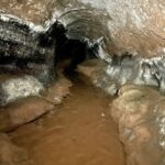 Toca do Tigre: Almadén organizará expedições até a paleontoca Descoberta em novembro de 2022, o buraco no meio das rochas, popularmente chamada de ‘Toca do Tigre’, vem sendo objeto de estudos e descobertas paleontológicas. Preocupados com a preservação do local, a Almadén buscou uma consultoria geológica, que confirmou ser um abrigo subterrâneo escavado por animais pré-históricos extintos. O geólogo Serlecio Guilherme Pinz, após estudo paleontológico e geoestratigráfico, identificou vestígios de prováveis marcas na parede feitas por animais que viveram entre o Pampa Gaúcho e a Patagônia, como a preguiça-gigante (Lestodon ou Glossotherium) e o tatu-gigante (Pampatherium), que pesavam centenas de quilos. Localizada há sete quilômetros da sede da vinícola, a paleontoca será parada obrigatória no Roteiro Expedição Lendária que a Almadén lançará em breve. De acordo com o diretor superintendente da MWG, Adriano Miolo, a visita até a Toca vem sendo estruturada pensando na continuidade da preservação do local. “Tudo está sendo cuidadosamente estruturado para que a preservação do local seja assegurada. Serão 5 horas de um safari pelo mundo do vinho e pela história da civilização do local, contemplando todos pontos do Complexo Enoturístico Almadén. Assim, a Almadén passa a compor um trio de experiências, premiando o turista, ávido por novas descobertas”, explicou Adriano, salientando que toda experiência estará alinhada à política de preservação do ambiente natural e sua história. “A paleontologia é um mundo novo para nós. Somos conhecedores da cultura do vinho e sempre harmonizamos as histórias e características de cada ambiente com as experiências que oferecemos. É com o enoturismo que aportamos nosso respeito e valorização a cada terroir. Desta forma, levamos o nosso público a conhecer este universo tão particular, único em cada lugar onde operamos”, destaca. “Respeitamos a natureza em sua integralidade. Nada faremos que esteja fora dos padrões e políticas de respeito e preservação. A nossa ‘Toca do Tigre’ está em nossa propriedade, mas é um patrimônio da comunidade. Nosso compromisso é garantir sua preservação, mas também oportunizar aos nossos visitantes o acesso ao local, para que possam ver as marcas dos animais pré-históricos, a formação geológica e a própria história”, reforça. A entrada da toca possui 2,60 metros de altura, que diminui ao longo de sua profundidade, por 1,40 metro de largura, com uma extensão de 33 metros. A paleontoca ainda deve ser registrada no Centro Nacional de Pesquisa e Conservação de Cavernas do Instituto Chico Mendes de Conservação da Biodiversidade (ICMBio/Cecav). Apesar de não ser visitada, a ‘Toca do Tigre’ deu nome ao vinhedo onde são cultivadas as uvas que dão origem ao Miolo Single Vineyard Riesling Johannisberg, um dos rótulos que compõem a Linha Miolo Single Vineyard - vinhos que nascem da terra e brotam de vinhedos únicos. História da Almadén A Vinícola Almadén nasceu na Califórnia, nos Estados Unidos, em 1852, mas suas raízes no Brasil estão cada vez mais profundas. São 50 anos em solo brasileiro, desde sua fundação em 1973, sendo 14 deles como uma das unidades da Miolo Wine Group, que aposta no terroir da Campanha Central. Nessa última década, a marca passou por uma grande transformação, reformulando produtos e modernizando embalagens. Dos 1.200 hectares da propriedade, 450 têm vinhedos próprios em espaldeira. São 25 castas, de onde surgem 13 vinhos (sete tintos, cinco brancos e um rosé). Também são de lá o Single Vineyard Cabernet Franc e o Single Vineyard Riesling Johannisberg, ambos com IP Campanha Gaúcha, e o Miolo Vinhas Velhas Tannat, ícone da unidade. Pioneira na tecnologia de aço inox e controle de temperatura na fermentação, com uma capacidade total de estocagem de 8,5 milhões de litros, a Almadén tem mapeado todos os seus vinhedos. São 138 parcelas, das quais 111 estão em produção. A vinícola foi a primeira da América Latina a introduzir a prensagem pneumática contínua. Este pioneirismo foi seguido pela Miolo Wine Group ao implantar a primeira colheita mecânica no Brasil em 2011. Com 100 dias de sol no Verão, a região já era considerada uma das melhores do mundo para a vitivinicultura ainda em 1973, quando a Almadén investiu no local, sendo a primeira vinícola a se instalar em Santana do Livramento. Com o mesmo entendimento e acreditando no potencial do terroir, a Miolo não apenas deu continuidade como também apostou no projeto que veio completar o grupo, unindo-se às unidades do Vale dos Vinhedos (Miolo), de Candiota (Seival) e do Vale do São Francisco (Terranova). De 2009 para cá, grandes investimentos foram feitos na renovação e manejo dos vinhedos. Anualmente, durante a safra de pouco mais de dois meses, são produzidos aproximadamente 6 milhões de quilos de uvas, uma operação que envolve mais de 400 pessoas. Além de variedades mais conhecidas como as tintas Cabernet Sauvignon e Merlot e as brancas Chardonnay e Sauvignon Blanc, a Almadén mantém um amplo trabalho de pesquisa com o terroir que tem permitido cultivar 25 diferentes castas, apostando em uvas menos conhecidas como as tintas Alicante Bouschet, Marselan e Tempranillo e as brancas Sémillon e French Colombard, por exemplo. A trajetória da Vinícola Almadén no Brasil, em Santana do Livramento, está intimamente ligada a história da vitivinicultura brasileira. Há 50 anos em solo brasileiro, a marca é pioneira no uso da tecnologia de aço inox e controle de temperatura na fermentação com 100% de seus vinhedos mapeados, sendo a primeira vinícola do país a introduzir a prensagem pneumática contínua e a colheita mecânica. Toda essa expertise, conduzida pela Miolo Wine Group (MWG) desde 2009, é rotina para o time da vinícola, instalada numa região de muitas lendas e forte cultura gaúcha. A propriedade de 1.200 hectares, onde 450 são destinados ao cultivo de vinhedos e o restante de área de preservação (mata nativa intocada), acaba de ganhar uma nova atração, uma paleontoca pré-histórica. A misteriosa caverna descoberta pela Almadén em novembro de 2022 mostra como era a vida na pré-história no território brasileiro, mais especificamente no Pampa Gaúcho.