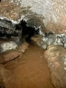 Toca do Tigre: Almadén organizará expedições até a paleontoca Descoberta em novembro de 2022, o buraco no meio das rochas, popularmente chamada de ‘Toca do Tigre’, vem sendo objeto de estudos e descobertas paleontológicas. Preocupados com a preservação do local, a Almadén buscou uma consultoria geológica, que confirmou ser um abrigo subterrâneo escavado por animais pré-históricos extintos. O geólogo Serlecio Guilherme Pinz, após estudo paleontológico e geoestratigráfico, identificou vestígios de prováveis marcas na parede feitas por animais que viveram entre o Pampa Gaúcho e a Patagônia, como a preguiça-gigante (Lestodon ou Glossotherium) e o tatu-gigante (Pampatherium), que pesavam centenas de quilos. Localizada há sete quilômetros da sede da vinícola, a paleontoca será parada obrigatória no Roteiro Expedição Lendária que a Almadén lançará em breve. De acordo com o diretor superintendente da MWG, Adriano Miolo, a visita até a Toca vem sendo estruturada pensando na continuidade da preservação do local. “Tudo está sendo cuidadosamente estruturado para que a preservação do local seja assegurada. Serão 5 horas de um safari pelo mundo do vinho e pela história da civilização do local, contemplando todos pontos do Complexo Enoturístico Almadén. Assim, a Almadén passa a compor um trio de experiências, premiando o turista, ávido por novas descobertas”, explicou Adriano, salientando que toda experiência estará alinhada à política de preservação do ambiente natural e sua história. “A paleontologia é um mundo novo para nós. Somos conhecedores da cultura do vinho e sempre harmonizamos as histórias e características de cada ambiente com as experiências que oferecemos. É com o enoturismo que aportamos nosso respeito e valorização a cada terroir. Desta forma, levamos o nosso público a conhecer este universo tão particular, único em cada lugar onde operamos”, destaca. “Respeitamos a natureza em sua integralidade. Nada faremos que esteja fora dos padrões e políticas de respeito e preservação. A nossa ‘Toca do Tigre’ está em nossa propriedade, mas é um patrimônio da comunidade. Nosso compromisso é garantir sua preservação, mas também oportunizar aos nossos visitantes o acesso ao local, para que possam ver as marcas dos animais pré-históricos, a formação geológica e a própria história”, reforça. A entrada da toca possui 2,60 metros de altura, que diminui ao longo de sua profundidade, por 1,40 metro de largura, com uma extensão de 33 metros. A paleontoca ainda deve ser registrada no Centro Nacional de Pesquisa e Conservação de Cavernas do Instituto Chico Mendes de Conservação da Biodiversidade (ICMBio/Cecav). Apesar de não ser visitada, a ‘Toca do Tigre’ deu nome ao vinhedo onde são cultivadas as uvas que dão origem ao Miolo Single Vineyard Riesling Johannisberg, um dos rótulos que compõem a Linha Miolo Single Vineyard - vinhos que nascem da terra e brotam de vinhedos únicos. História da Almadén A Vinícola Almadén nasceu na Califórnia, nos Estados Unidos, em 1852, mas suas raízes no Brasil estão cada vez mais profundas. São 50 anos em solo brasileiro, desde sua fundação em 1973, sendo 14 deles como uma das unidades da Miolo Wine Group, que aposta no terroir da Campanha Central. Nessa última década, a marca passou por uma grande transformação, reformulando produtos e modernizando embalagens. Dos 1.200 hectares da propriedade, 450 têm vinhedos próprios em espaldeira. São 25 castas, de onde surgem 13 vinhos (sete tintos, cinco brancos e um rosé). Também são de lá o Single Vineyard Cabernet Franc e o Single Vineyard Riesling Johannisberg, ambos com IP Campanha Gaúcha, e o Miolo Vinhas Velhas Tannat, ícone da unidade. Pioneira na tecnologia de aço inox e controle de temperatura na fermentação, com uma capacidade total de estocagem de 8,5 milhões de litros, a Almadén tem mapeado todos os seus vinhedos. São 138 parcelas, das quais 111 estão em produção. A vinícola foi a primeira da América Latina a introduzir a prensagem pneumática contínua. Este pioneirismo foi seguido pela Miolo Wine Group ao implantar a primeira colheita mecânica no Brasil em 2011. Com 100 dias de sol no Verão, a região já era considerada uma das melhores do mundo para a vitivinicultura ainda em 1973, quando a Almadén investiu no local, sendo a primeira vinícola a se instalar em Santana do Livramento. Com o mesmo entendimento e acreditando no potencial do terroir, a Miolo não apenas deu continuidade como também apostou no projeto que veio completar o grupo, unindo-se às unidades do Vale dos Vinhedos (Miolo), de Candiota (Seival) e do Vale do São Francisco (Terranova). De 2009 para cá, grandes investimentos foram feitos na renovação e manejo dos vinhedos. Anualmente, durante a safra de pouco mais de dois meses, são produzidos aproximadamente 6 milhões de quilos de uvas, uma operação que envolve mais de 400 pessoas. Além de variedades mais conhecidas como as tintas Cabernet Sauvignon e Merlot e as brancas Chardonnay e Sauvignon Blanc, a Almadén mantém um amplo trabalho de pesquisa com o terroir que tem permitido cultivar 25 diferentes castas, apostando em uvas menos conhecidas como as tintas Alicante Bouschet, Marselan e Tempranillo e as brancas Sémillon e French Colombard, por exemplo. A trajetória da Vinícola Almadén no Brasil, em Santana do Livramento, está intimamente ligada a história da vitivinicultura brasileira. Há 50 anos em solo brasileiro, a marca é pioneira no uso da tecnologia de aço inox e controle de temperatura na fermentação com 100% de seus vinhedos mapeados, sendo a primeira vinícola do país a introduzir a prensagem pneumática contínua e a colheita mecânica. Toda essa expertise, conduzida pela Miolo Wine Group (MWG) desde 2009, é rotina para o time da vinícola, instalada numa região de muitas lendas e forte cultura gaúcha. A propriedade de 1.200 hectares, onde 450 são destinados ao cultivo de vinhedos e o restante de área de preservação (mata nativa intocada), acaba de ganhar uma nova atração, uma paleontoca pré-histórica. A misteriosa caverna descoberta pela Almadén em novembro de 2022 mostra como era a vida na pré-história no território brasileiro, mais especificamente no Pampa Gaúcho.