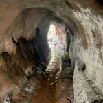 Toca do Tigre: Almadén organizará expedições até a paleontoca Descoberta em novembro de 2022, o buraco no meio das rochas, popularmente chamada de ‘Toca do Tigre’, vem sendo objeto de estudos e descobertas paleontológicas. Preocupados com a preservação do local, a Almadén buscou uma consultoria geológica, que confirmou ser um abrigo subterrâneo escavado por animais pré-históricos extintos. O geólogo Serlecio Guilherme Pinz, após estudo paleontológico e geoestratigráfico, identificou vestígios de prováveis marcas na parede feitas por animais que viveram entre o Pampa Gaúcho e a Patagônia, como a preguiça-gigante (Lestodon ou Glossotherium) e o tatu-gigante (Pampatherium), que pesavam centenas de quilos. Localizada há sete quilômetros da sede da vinícola, a paleontoca será parada obrigatória no Roteiro Expedição Lendária que a Almadén lançará em breve. De acordo com o diretor superintendente da MWG, Adriano Miolo, a visita até a Toca vem sendo estruturada pensando na continuidade da preservação do local. “Tudo está sendo cuidadosamente estruturado para que a preservação do local seja assegurada. Serão 5 horas de um safari pelo mundo do vinho e pela história da civilização do local, contemplando todos pontos do Complexo Enoturístico Almadén. Assim, a Almadén passa a compor um trio de experiências, premiando o turista, ávido por novas descobertas”, explicou Adriano, salientando que toda experiência estará alinhada à política de preservação do ambiente natural e sua história. “A paleontologia é um mundo novo para nós. Somos conhecedores da cultura do vinho e sempre harmonizamos as histórias e características de cada ambiente com as experiências que oferecemos. É com o enoturismo que aportamos nosso respeito e valorização a cada terroir. Desta forma, levamos o nosso público a conhecer este universo tão particular, único em cada lugar onde operamos”, destaca. “Respeitamos a natureza em sua integralidade. Nada faremos que esteja fora dos padrões e políticas de respeito e preservação. A nossa ‘Toca do Tigre’ está em nossa propriedade, mas é um patrimônio da comunidade. Nosso compromisso é garantir sua preservação, mas também oportunizar aos nossos visitantes o acesso ao local, para que possam ver as marcas dos animais pré-históricos, a formação geológica e a própria história”, reforça. A entrada da toca possui 2,60 metros de altura, que diminui ao longo de sua profundidade, por 1,40 metro de largura, com uma extensão de 33 metros. A paleontoca ainda deve ser registrada no Centro Nacional de Pesquisa e Conservação de Cavernas do Instituto Chico Mendes de Conservação da Biodiversidade (ICMBio/Cecav). Apesar de não ser visitada, a ‘Toca do Tigre’ deu nome ao vinhedo onde são cultivadas as uvas que dão origem ao Miolo Single Vineyard Riesling Johannisberg, um dos rótulos que compõem a Linha Miolo Single Vineyard - vinhos que nascem da terra e brotam de vinhedos únicos. História da Almadén A Vinícola Almadén nasceu na Califórnia, nos Estados Unidos, em 1852, mas suas raízes no Brasil estão cada vez mais profundas. São 50 anos em solo brasileiro, desde sua fundação em 1973, sendo 14 deles como uma das unidades da Miolo Wine Group, que aposta no terroir da Campanha Central. Nessa última década, a marca passou por uma grande transformação, reformulando produtos e modernizando embalagens. Dos 1.200 hectares da propriedade, 450 têm vinhedos próprios em espaldeira. São 25 castas, de onde surgem 13 vinhos (sete tintos, cinco brancos e um rosé). Também são de lá o Single Vineyard Cabernet Franc e o Single Vineyard Riesling Johannisberg, ambos com IP Campanha Gaúcha, e o Miolo Vinhas Velhas Tannat, ícone da unidade. Pioneira na tecnologia de aço inox e controle de temperatura na fermentação, com uma capacidade total de estocagem de 8,5 milhões de litros, a Almadén tem mapeado todos os seus vinhedos. São 138 parcelas, das quais 111 estão em produção. A vinícola foi a primeira da América Latina a introduzir a prensagem pneumática contínua. Este pioneirismo foi seguido pela Miolo Wine Group ao implantar a primeira colheita mecânica no Brasil em 2011. Com 100 dias de sol no Verão, a região já era considerada uma das melhores do mundo para a vitivinicultura ainda em 1973, quando a Almadén investiu no local, sendo a primeira vinícola a se instalar em Santana do Livramento. Com o mesmo entendimento e acreditando no potencial do terroir, a Miolo não apenas deu continuidade como também apostou no projeto que veio completar o grupo, unindo-se às unidades do Vale dos Vinhedos (Miolo), de Candiota (Seival) e do Vale do São Francisco (Terranova). De 2009 para cá, grandes investimentos foram feitos na renovação e manejo dos vinhedos. Anualmente, durante a safra de pouco mais de dois meses, são produzidos aproximadamente 6 milhões de quilos de uvas, uma operação que envolve mais de 400 pessoas. Além de variedades mais conhecidas como as tintas Cabernet Sauvignon e Merlot e as brancas Chardonnay e Sauvignon Blanc, a Almadén mantém um amplo trabalho de pesquisa com o terroir que tem permitido cultivar 25 diferentes castas, apostando em uvas menos conhecidas como as tintas Alicante Bouschet, Marselan e Tempranillo e as brancas Sémillon e French Colombard, por exemplo. A trajetória da Vinícola Almadén no Brasil, em Santana do Livramento, está intimamente ligada a história da vitivinicultura brasileira. Há 50 anos em solo brasileiro, a marca é pioneira no uso da tecnologia de aço inox e controle de temperatura na fermentação com 100% de seus vinhedos mapeados, sendo a primeira vinícola do país a introduzir a prensagem pneumática contínua e a colheita mecânica. Toda essa expertise, conduzida pela Miolo Wine Group (MWG) desde 2009, é rotina para o time da vinícola, instalada numa região de muitas lendas e forte cultura gaúcha. A propriedade de 1.200 hectares, onde 450 são destinados ao cultivo de vinhedos e o restante de área de preservação (mata nativa intocada), acaba de ganhar uma nova atração, uma paleontoca pré-histórica. A misteriosa caverna descoberta pela Almadén em novembro de 2022 mostra como era a vida na pré-história no território brasileiro, mais especificamente no Pampa Gaúcho.
