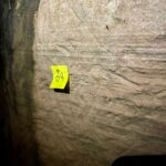Toca do Tigre: Almadén organizará expedições até a paleontoca Descoberta em novembro de 2022, o buraco no meio das rochas, popularmente chamada de ‘Toca do Tigre’, vem sendo objeto de estudos e descobertas paleontológicas. Preocupados com a preservação do local, a Almadén buscou uma consultoria geológica, que confirmou ser um abrigo subterrâneo escavado por animais pré-históricos extintos. O geólogo Serlecio Guilherme Pinz, após estudo paleontológico e geoestratigráfico, identificou vestígios de prováveis marcas na parede feitas por animais que viveram entre o Pampa Gaúcho e a Patagônia, como a preguiça-gigante (Lestodon ou Glossotherium) e o tatu-gigante (Pampatherium), que pesavam centenas de quilos. Localizada há sete quilômetros da sede da vinícola, a paleontoca será parada obrigatória no Roteiro Expedição Lendária que a Almadén lançará em breve. De acordo com o diretor superintendente da MWG, Adriano Miolo, a visita até a Toca vem sendo estruturada pensando na continuidade da preservação do local. “Tudo está sendo cuidadosamente estruturado para que a preservação do local seja assegurada. Serão 5 horas de um safari pelo mundo do vinho e pela história da civilização do local, contemplando todos pontos do Complexo Enoturístico Almadén. Assim, a Almadén passa a compor um trio de experiências, premiando o turista, ávido por novas descobertas”, explicou Adriano, salientando que toda experiência estará alinhada à política de preservação do ambiente natural e sua história. “A paleontologia é um mundo novo para nós. Somos conhecedores da cultura do vinho e sempre harmonizamos as histórias e características de cada ambiente com as experiências que oferecemos. É com o enoturismo que aportamos nosso respeito e valorização a cada terroir. Desta forma, levamos o nosso público a conhecer este universo tão particular, único em cada lugar onde operamos”, destaca. “Respeitamos a natureza em sua integralidade. Nada faremos que esteja fora dos padrões e políticas de respeito e preservação. A nossa ‘Toca do Tigre’ está em nossa propriedade, mas é um patrimônio da comunidade. Nosso compromisso é garantir sua preservação, mas também oportunizar aos nossos visitantes o acesso ao local, para que possam ver as marcas dos animais pré-históricos, a formação geológica e a própria história”, reforça. A entrada da toca possui 2,60 metros de altura, que diminui ao longo de sua profundidade, por 1,40 metro de largura, com uma extensão de 33 metros. A paleontoca ainda deve ser registrada no Centro Nacional de Pesquisa e Conservação de Cavernas do Instituto Chico Mendes de Conservação da Biodiversidade (ICMBio/Cecav). Apesar de não ser visitada, a ‘Toca do Tigre’ deu nome ao vinhedo onde são cultivadas as uvas que dão origem ao Miolo Single Vineyard Riesling Johannisberg, um dos rótulos que compõem a Linha Miolo Single Vineyard - vinhos que nascem da terra e brotam de vinhedos únicos. História da Almadén A Vinícola Almadén nasceu na Califórnia, nos Estados Unidos, em 1852, mas suas raízes no Brasil estão cada vez mais profundas. São 50 anos em solo brasileiro, desde sua fundação em 1973, sendo 14 deles como uma das unidades da Miolo Wine Group, que aposta no terroir da Campanha Central. Nessa última década, a marca passou por uma grande transformação, reformulando produtos e modernizando embalagens. Dos 1.200 hectares da propriedade, 450 têm vinhedos próprios em espaldeira. São 25 castas, de onde surgem 13 vinhos (sete tintos, cinco brancos e um rosé). Também são de lá o Single Vineyard Cabernet Franc e o Single Vineyard Riesling Johannisberg, ambos com IP Campanha Gaúcha, e o Miolo Vinhas Velhas Tannat, ícone da unidade. Pioneira na tecnologia de aço inox e controle de temperatura na fermentação, com uma capacidade total de estocagem de 8,5 milhões de litros, a Almadén tem mapeado todos os seus vinhedos. São 138 parcelas, das quais 111 estão em produção. A vinícola foi a primeira da América Latina a introduzir a prensagem pneumática contínua. Este pioneirismo foi seguido pela Miolo Wine Group ao implantar a primeira colheita mecânica no Brasil em 2011. Com 100 dias de sol no Verão, a região já era considerada uma das melhores do mundo para a vitivinicultura ainda em 1973, quando a Almadén investiu no local, sendo a primeira vinícola a se instalar em Santana do Livramento. Com o mesmo entendimento e acreditando no potencial do terroir, a Miolo não apenas deu continuidade como também apostou no projeto que veio completar o grupo, unindo-se às unidades do Vale dos Vinhedos (Miolo), de Candiota (Seival) e do Vale do São Francisco (Terranova). De 2009 para cá, grandes investimentos foram feitos na renovação e manejo dos vinhedos. Anualmente, durante a safra de pouco mais de dois meses, são produzidos aproximadamente 6 milhões de quilos de uvas, uma operação que envolve mais de 400 pessoas. Além de variedades mais conhecidas como as tintas Cabernet Sauvignon e Merlot e as brancas Chardonnay e Sauvignon Blanc, a Almadén mantém um amplo trabalho de pesquisa com o terroir que tem permitido cultivar 25 diferentes castas, apostando em uvas menos conhecidas como as tintas Alicante Bouschet, Marselan e Tempranillo e as brancas Sémillon e French Colombard, por exemplo. A trajetória da Vinícola Almadén no Brasil, em Santana do Livramento, está intimamente ligada a história da vitivinicultura brasileira. Há 50 anos em solo brasileiro, a marca é pioneira no uso da tecnologia de aço inox e controle de temperatura na fermentação com 100% de seus vinhedos mapeados, sendo a primeira vinícola do país a introduzir a prensagem pneumática contínua e a colheita mecânica. Toda essa expertise, conduzida pela Miolo Wine Group (MWG) desde 2009, é rotina para o time da vinícola, instalada numa região de muitas lendas e forte cultura gaúcha. A propriedade de 1.200 hectares, onde 450 são destinados ao cultivo de vinhedos e o restante de área de preservação (mata nativa intocada), acaba de ganhar uma nova atração, uma paleontoca pré-histórica. A misteriosa caverna descoberta pela Almadén em novembro de 2022 mostra como era a vida na pré-história no território brasileiro, mais especificamente no Pampa Gaúcho.