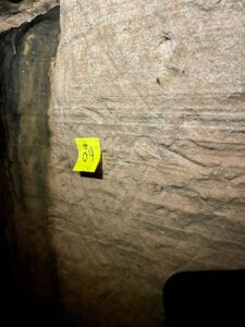 Toca do Tigre: Almadén organizará expedições até a paleontoca Descoberta em novembro de 2022, o buraco no meio das rochas, popularmente chamada de ‘Toca do Tigre’, vem sendo objeto de estudos e descobertas paleontológicas. Preocupados com a preservação do local, a Almadén buscou uma consultoria geológica, que confirmou ser um abrigo subterrâneo escavado por animais pré-históricos extintos. O geólogo Serlecio Guilherme Pinz, após estudo paleontológico e geoestratigráfico, identificou vestígios de prováveis marcas na parede feitas por animais que viveram entre o Pampa Gaúcho e a Patagônia, como a preguiça-gigante (Lestodon ou Glossotherium) e o tatu-gigante (Pampatherium), que pesavam centenas de quilos. Localizada há sete quilômetros da sede da vinícola, a paleontoca será parada obrigatória no Roteiro Expedição Lendária que a Almadén lançará em breve. De acordo com o diretor superintendente da MWG, Adriano Miolo, a visita até a Toca vem sendo estruturada pensando na continuidade da preservação do local. “Tudo está sendo cuidadosamente estruturado para que a preservação do local seja assegurada. Serão 5 horas de um safari pelo mundo do vinho e pela história da civilização do local, contemplando todos pontos do Complexo Enoturístico Almadén. Assim, a Almadén passa a compor um trio de experiências, premiando o turista, ávido por novas descobertas”, explicou Adriano, salientando que toda experiência estará alinhada à política de preservação do ambiente natural e sua história. “A paleontologia é um mundo novo para nós. Somos conhecedores da cultura do vinho e sempre harmonizamos as histórias e características de cada ambiente com as experiências que oferecemos. É com o enoturismo que aportamos nosso respeito e valorização a cada terroir. Desta forma, levamos o nosso público a conhecer este universo tão particular, único em cada lugar onde operamos”, destaca. “Respeitamos a natureza em sua integralidade. Nada faremos que esteja fora dos padrões e políticas de respeito e preservação. A nossa ‘Toca do Tigre’ está em nossa propriedade, mas é um patrimônio da comunidade. Nosso compromisso é garantir sua preservação, mas também oportunizar aos nossos visitantes o acesso ao local, para que possam ver as marcas dos animais pré-históricos, a formação geológica e a própria história”, reforça. A entrada da toca possui 2,60 metros de altura, que diminui ao longo de sua profundidade, por 1,40 metro de largura, com uma extensão de 33 metros. A paleontoca ainda deve ser registrada no Centro Nacional de Pesquisa e Conservação de Cavernas do Instituto Chico Mendes de Conservação da Biodiversidade (ICMBio/Cecav). Apesar de não ser visitada, a ‘Toca do Tigre’ deu nome ao vinhedo onde são cultivadas as uvas que dão origem ao Miolo Single Vineyard Riesling Johannisberg, um dos rótulos que compõem a Linha Miolo Single Vineyard - vinhos que nascem da terra e brotam de vinhedos únicos. História da Almadén A Vinícola Almadén nasceu na Califórnia, nos Estados Unidos, em 1852, mas suas raízes no Brasil estão cada vez mais profundas. São 50 anos em solo brasileiro, desde sua fundação em 1973, sendo 14 deles como uma das unidades da Miolo Wine Group, que aposta no terroir da Campanha Central. Nessa última década, a marca passou por uma grande transformação, reformulando produtos e modernizando embalagens. Dos 1.200 hectares da propriedade, 450 têm vinhedos próprios em espaldeira. São 25 castas, de onde surgem 13 vinhos (sete tintos, cinco brancos e um rosé). Também são de lá o Single Vineyard Cabernet Franc e o Single Vineyard Riesling Johannisberg, ambos com IP Campanha Gaúcha, e o Miolo Vinhas Velhas Tannat, ícone da unidade. Pioneira na tecnologia de aço inox e controle de temperatura na fermentação, com uma capacidade total de estocagem de 8,5 milhões de litros, a Almadén tem mapeado todos os seus vinhedos. São 138 parcelas, das quais 111 estão em produção. A vinícola foi a primeira da América Latina a introduzir a prensagem pneumática contínua. Este pioneirismo foi seguido pela Miolo Wine Group ao implantar a primeira colheita mecânica no Brasil em 2011. Com 100 dias de sol no Verão, a região já era considerada uma das melhores do mundo para a vitivinicultura ainda em 1973, quando a Almadén investiu no local, sendo a primeira vinícola a se instalar em Santana do Livramento. Com o mesmo entendimento e acreditando no potencial do terroir, a Miolo não apenas deu continuidade como também apostou no projeto que veio completar o grupo, unindo-se às unidades do Vale dos Vinhedos (Miolo), de Candiota (Seival) e do Vale do São Francisco (Terranova). De 2009 para cá, grandes investimentos foram feitos na renovação e manejo dos vinhedos. Anualmente, durante a safra de pouco mais de dois meses, são produzidos aproximadamente 6 milhões de quilos de uvas, uma operação que envolve mais de 400 pessoas. Além de variedades mais conhecidas como as tintas Cabernet Sauvignon e Merlot e as brancas Chardonnay e Sauvignon Blanc, a Almadén mantém um amplo trabalho de pesquisa com o terroir que tem permitido cultivar 25 diferentes castas, apostando em uvas menos conhecidas como as tintas Alicante Bouschet, Marselan e Tempranillo e as brancas Sémillon e French Colombard, por exemplo. A trajetória da Vinícola Almadén no Brasil, em Santana do Livramento, está intimamente ligada a história da vitivinicultura brasileira. Há 50 anos em solo brasileiro, a marca é pioneira no uso da tecnologia de aço inox e controle de temperatura na fermentação com 100% de seus vinhedos mapeados, sendo a primeira vinícola do país a introduzir a prensagem pneumática contínua e a colheita mecânica. Toda essa expertise, conduzida pela Miolo Wine Group (MWG) desde 2009, é rotina para o time da vinícola, instalada numa região de muitas lendas e forte cultura gaúcha. A propriedade de 1.200 hectares, onde 450 são destinados ao cultivo de vinhedos e o restante de área de preservação (mata nativa intocada), acaba de ganhar uma nova atração, uma paleontoca pré-histórica. A misteriosa caverna descoberta pela Almadén em novembro de 2022 mostra como era a vida na pré-história no território brasileiro, mais especificamente no Pampa Gaúcho.