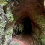 Toca do Tigre: Almadén organizará expedições até a paleontoca Descoberta em novembro de 2022, o buraco no meio das rochas, popularmente chamada de ‘Toca do Tigre’, vem sendo objeto de estudos e descobertas paleontológicas. Preocupados com a preservação do local, a Almadén buscou uma consultoria geológica, que confirmou ser um abrigo subterrâneo escavado por animais pré-históricos extintos. O geólogo Serlecio Guilherme Pinz, após estudo paleontológico e geoestratigráfico, identificou vestígios de prováveis marcas na parede feitas por animais que viveram entre o Pampa Gaúcho e a Patagônia, como a preguiça-gigante (Lestodon ou Glossotherium) e o tatu-gigante (Pampatherium), que pesavam centenas de quilos. Localizada há sete quilômetros da sede da vinícola, a paleontoca será parada obrigatória no Roteiro Expedição Lendária que a Almadén lançará em breve. De acordo com o diretor superintendente da MWG, Adriano Miolo, a visita até a Toca vem sendo estruturada pensando na continuidade da preservação do local. “Tudo está sendo cuidadosamente estruturado para que a preservação do local seja assegurada. Serão 5 horas de um safari pelo mundo do vinho e pela história da civilização do local, contemplando todos pontos do Complexo Enoturístico Almadén. Assim, a Almadén passa a compor um trio de experiências, premiando o turista, ávido por novas descobertas”, explicou Adriano, salientando que toda experiência estará alinhada à política de preservação do ambiente natural e sua história. “A paleontologia é um mundo novo para nós. Somos conhecedores da cultura do vinho e sempre harmonizamos as histórias e características de cada ambiente com as experiências que oferecemos. É com o enoturismo que aportamos nosso respeito e valorização a cada terroir. Desta forma, levamos o nosso público a conhecer este universo tão particular, único em cada lugar onde operamos”, destaca. “Respeitamos a natureza em sua integralidade. Nada faremos que esteja fora dos padrões e políticas de respeito e preservação. A nossa ‘Toca do Tigre’ está em nossa propriedade, mas é um patrimônio da comunidade. Nosso compromisso é garantir sua preservação, mas também oportunizar aos nossos visitantes o acesso ao local, para que possam ver as marcas dos animais pré-históricos, a formação geológica e a própria história”, reforça. A entrada da toca possui 2,60 metros de altura, que diminui ao longo de sua profundidade, por 1,40 metro de largura, com uma extensão de 33 metros. A paleontoca ainda deve ser registrada no Centro Nacional de Pesquisa e Conservação de Cavernas do Instituto Chico Mendes de Conservação da Biodiversidade (ICMBio/Cecav). Apesar de não ser visitada, a ‘Toca do Tigre’ deu nome ao vinhedo onde são cultivadas as uvas que dão origem ao Miolo Single Vineyard Riesling Johannisberg, um dos rótulos que compõem a Linha Miolo Single Vineyard - vinhos que nascem da terra e brotam de vinhedos únicos. História da Almadén A Vinícola Almadén nasceu na Califórnia, nos Estados Unidos, em 1852, mas suas raízes no Brasil estão cada vez mais profundas. São 50 anos em solo brasileiro, desde sua fundação em 1973, sendo 14 deles como uma das unidades da Miolo Wine Group, que aposta no terroir da Campanha Central. Nessa última década, a marca passou por uma grande transformação, reformulando produtos e modernizando embalagens. Dos 1.200 hectares da propriedade, 450 têm vinhedos próprios em espaldeira. São 25 castas, de onde surgem 13 vinhos (sete tintos, cinco brancos e um rosé). Também são de lá o Single Vineyard Cabernet Franc e o Single Vineyard Riesling Johannisberg, ambos com IP Campanha Gaúcha, e o Miolo Vinhas Velhas Tannat, ícone da unidade. Pioneira na tecnologia de aço inox e controle de temperatura na fermentação, com uma capacidade total de estocagem de 8,5 milhões de litros, a Almadén tem mapeado todos os seus vinhedos. São 138 parcelas, das quais 111 estão em produção. A vinícola foi a primeira da América Latina a introduzir a prensagem pneumática contínua. Este pioneirismo foi seguido pela Miolo Wine Group ao implantar a primeira colheita mecânica no Brasil em 2011. Com 100 dias de sol no Verão, a região já era considerada uma das melhores do mundo para a vitivinicultura ainda em 1973, quando a Almadén investiu no local, sendo a primeira vinícola a se instalar em Santana do Livramento. Com o mesmo entendimento e acreditando no potencial do terroir, a Miolo não apenas deu continuidade como também apostou no projeto que veio completar o grupo, unindo-se às unidades do Vale dos Vinhedos (Miolo), de Candiota (Seival) e do Vale do São Francisco (Terranova). De 2009 para cá, grandes investimentos foram feitos na renovação e manejo dos vinhedos. Anualmente, durante a safra de pouco mais de dois meses, são produzidos aproximadamente 6 milhões de quilos de uvas, uma operação que envolve mais de 400 pessoas. Além de variedades mais conhecidas como as tintas Cabernet Sauvignon e Merlot e as brancas Chardonnay e Sauvignon Blanc, a Almadén mantém um amplo trabalho de pesquisa com o terroir que tem permitido cultivar 25 diferentes castas, apostando em uvas menos conhecidas como as tintas Alicante Bouschet, Marselan e Tempranillo e as brancas Sémillon e French Colombard, por exemplo. A trajetória da Vinícola Almadén no Brasil, em Santana do Livramento, está intimamente ligada a história da vitivinicultura brasileira. Há 50 anos em solo brasileiro, a marca é pioneira no uso da tecnologia de aço inox e controle de temperatura na fermentação com 100% de seus vinhedos mapeados, sendo a primeira vinícola do país a introduzir a prensagem pneumática contínua e a colheita mecânica. Toda essa expertise, conduzida pela Miolo Wine Group (MWG) desde 2009, é rotina para o time da vinícola, instalada numa região de muitas lendas e forte cultura gaúcha. A propriedade de 1.200 hectares, onde 450 são destinados ao cultivo de vinhedos e o restante de área de preservação (mata nativa intocada), acaba de ganhar uma nova atração, uma paleontoca pré-histórica. A misteriosa caverna descoberta pela Almadén em novembro de 2022 mostra como era a vida na pré-história no território brasileiro, mais especificamente no Pampa Gaúcho.