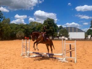 APRESENTAÇÃO DE MILITARES No dia 6 de fevereiro de 2023, apresentaram-se no 7º Regimento de Cavalaria Mecanizado, “Regimento Brigadeiro Vasco Alves Pereira”, ”, a 3º Sargento de Saúde Natiele Gutierres Fernandez, oriunda do Hospital de Guarnição de Santiago, "Hospital General Médico Epaminondas de Albuquerque Filho", sediado em Santiago – RS e os 3º Sargentos de Cavalaria Natã De Sousa Machado, Sérgio Henrique Coelho De Oliveira e Vítor Moreira Da Conceição, recém egressos da Escola de Sargentos das Armas (ESA), localizada na cidade de Três Corações – MG. Na oportunidade, o Comandante do Regimento, Sr. Tenente-Coronel Rafael Polinício Lanza Braga, parabenizou, em nome dos demais militares, por suas escolhas em servir no “Sétimo de Cavalaria”. A Sargento Gutierres fará parte do Posto Médico da Guarnição de Santana do Livramento e os Sargentos Machado, Sérgio e Da Conceição, assumirão as funções de Comandantes de Grupo de Combate em suas respectivas Subunidades. Após a apresentação formal os Sargentos recém egressos da ESA cumpriram uma pequena missão de reconhecimento dentro do perímetro da OM, onde participaram de diversas oficinas, tais como: Cross Operacional, Transposição de Curso D’água, Marcha, Orientação e Equitação tudo coordenado por militares do Regimento. “7º RC Mec – 100 anos de ocupação do Cerro do Depósito” (1923-2023)