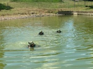 APRESENTAÇÃO DE MILITARES No dia 6 de fevereiro de 2023, apresentaram-se no 7º Regimento de Cavalaria Mecanizado, “Regimento Brigadeiro Vasco Alves Pereira”, ”, a 3º Sargento de Saúde Natiele Gutierres Fernandez, oriunda do Hospital de Guarnição de Santiago, "Hospital General Médico Epaminondas de Albuquerque Filho", sediado em Santiago – RS e os 3º Sargentos de Cavalaria Natã De Sousa Machado, Sérgio Henrique Coelho De Oliveira e Vítor Moreira Da Conceição, recém egressos da Escola de Sargentos das Armas (ESA), localizada na cidade de Três Corações – MG. Na oportunidade, o Comandante do Regimento, Sr. Tenente-Coronel Rafael Polinício Lanza Braga, parabenizou, em nome dos demais militares, por suas escolhas em servir no “Sétimo de Cavalaria”. A Sargento Gutierres fará parte do Posto Médico da Guarnição de Santana do Livramento e os Sargentos Machado, Sérgio e Da Conceição, assumirão as funções de Comandantes de Grupo de Combate em suas respectivas Subunidades. Após a apresentação formal os Sargentos recém egressos da ESA cumpriram uma pequena missão de reconhecimento dentro do perímetro da OM, onde participaram de diversas oficinas, tais como: Cross Operacional, Transposição de Curso D’água, Marcha, Orientação e Equitação tudo coordenado por militares do Regimento. “7º RC Mec – 100 anos de ocupação do Cerro do Depósito” (1923-2023)