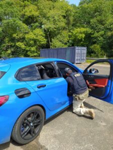 Na manhã desta quarta-feira (15), a Polícia Rodoviária Federal prendeu um brasileiro e uma uruguaia com Skunk em Pantano Grande. De acordo com a PRF, uma operação de combate ao crime acontecia na BR 290 até que uma BMW emplacada em Santana do Livramento apresentou atitude suspeita. Durante abordagem os policiais sentiram cheiro de maconha e ao solicitar ao motorista que encostasse o veículo mais à frente perceberam que algo havia sido arremessado pela janela.  Após buscas, encontraram um saco de plástico embalado com 30 gramas de Skunk.  O motorista, de 28 anos, natural de Sant'Ana do Livramento, sem antecedentes, disse que vinha com a namorada, uma uruguaia com 18 anos, do Uruguai para o litoral gaúcho. O casal foi conduzido para a delegacia com a droga e o carro. O Skunk, conhecido por super maconha, é uma droga muito concentrada e com alto valor de revenda.