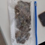 Na manhã desta quarta-feira (15), a Polícia Rodoviária Federal prendeu um brasileiro e uma uruguaia com Skunk em Pantano Grande. De acordo com a PRF, uma operação de combate ao crime acontecia na BR 290 até que uma BMW emplacada em Santana do Livramento apresentou atitude suspeita. Durante abordagem os policiais sentiram cheiro de maconha e ao solicitar ao motorista que encostasse o veículo mais à frente perceberam que algo havia sido arremessado pela janela.  Após buscas, encontraram um saco de plástico embalado com 30 gramas de Skunk.  O motorista, de 28 anos, natural de Sant'Ana do Livramento, sem antecedentes, disse que vinha com a namorada, uma uruguaia com 18 anos, do Uruguai para o litoral gaúcho. O casal foi conduzido para a delegacia com a droga e o carro. O Skunk, conhecido por super maconha, é uma droga muito concentrada e com alto valor de revenda.