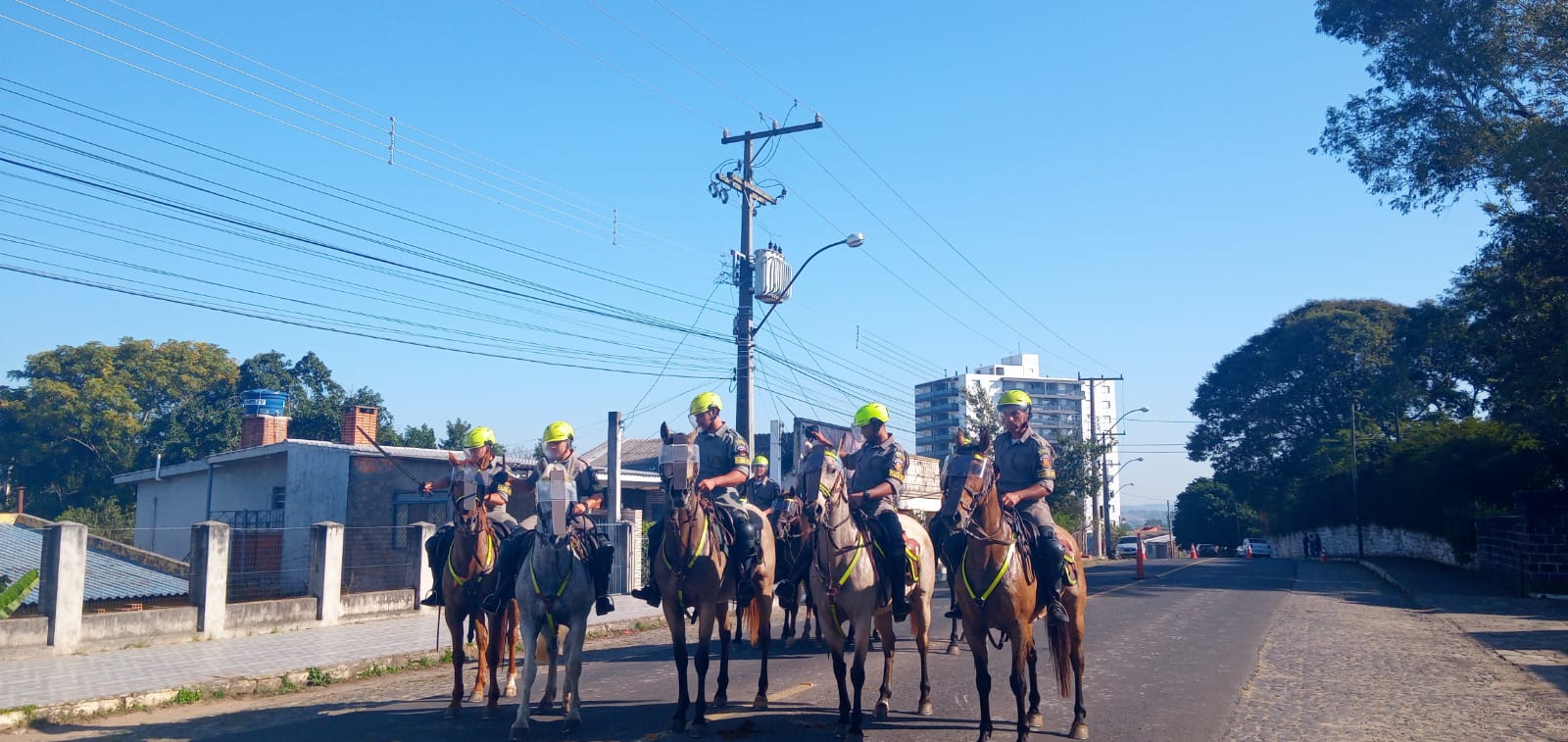 Curso de cavalaria: importância, cursos e mais!