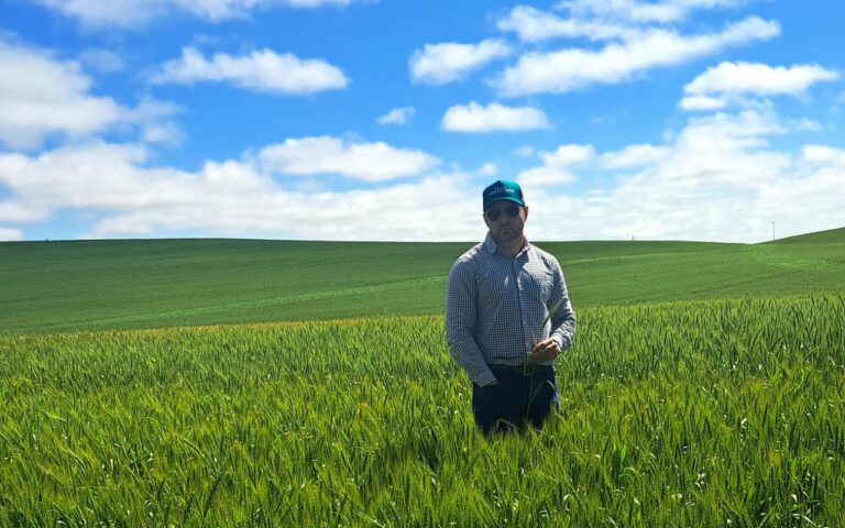 Agricultura Regenerativa é solução para o Plantio Direto aumentar produtividade e resiliência climática